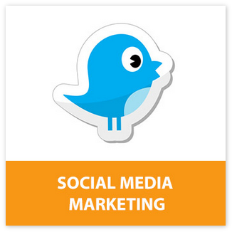 Do Not Delay - Doorbird Logo (350x350)