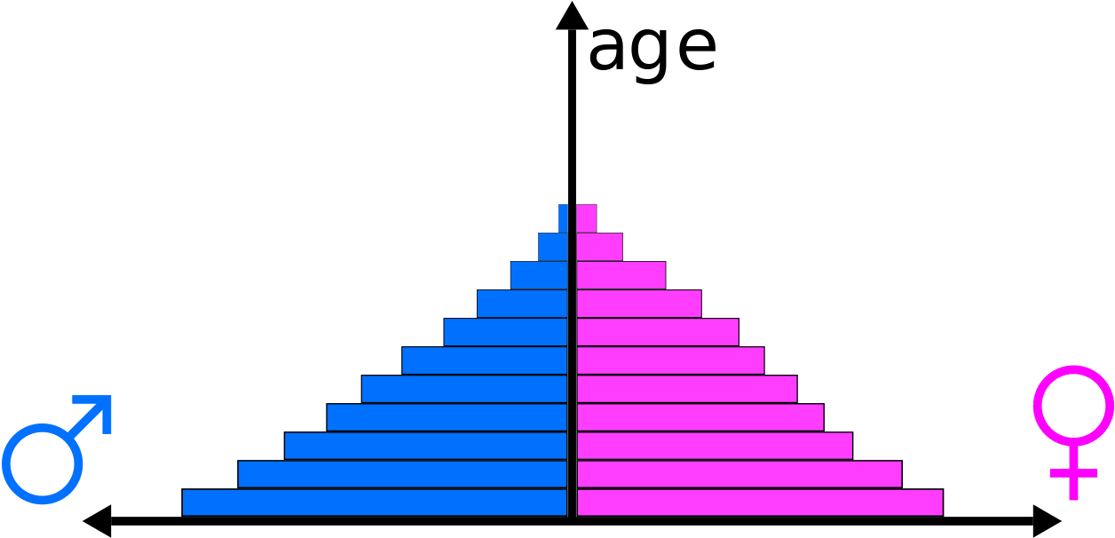 Population Pyramid This Distribution Is D For The Frequently - Age Structure (1280x631)
