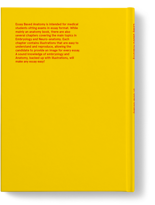 Anatomy Essays Human Anatomy Essays Directional Terms - Amber (1800x1042)