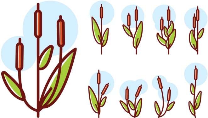 Cattails Icons Vector - Cattail Icon (700x490)