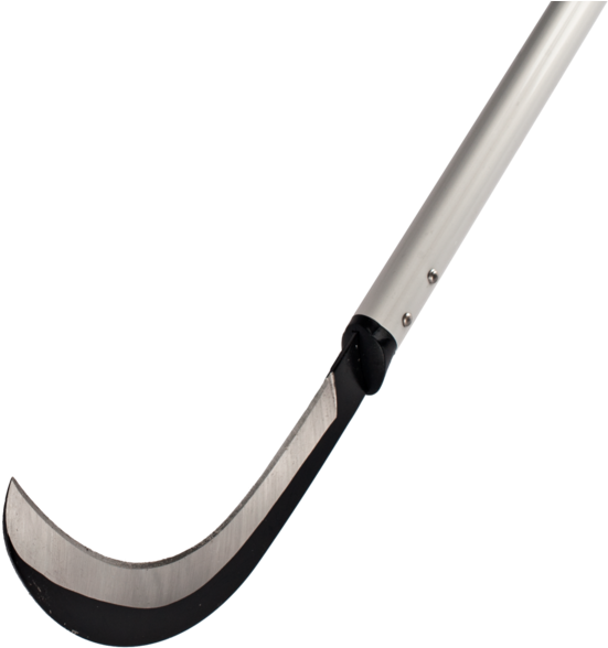 Roller Hockey (1024x683)