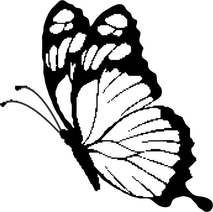 Butterfly - Butterfly (718x714)