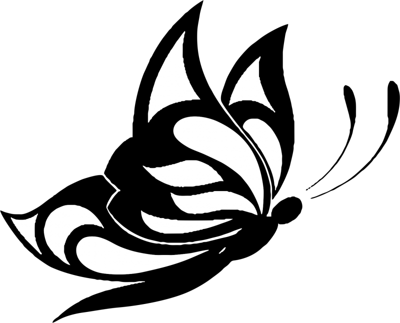Butterfly - Desenho Borboleta Para Tattoo (800x646)