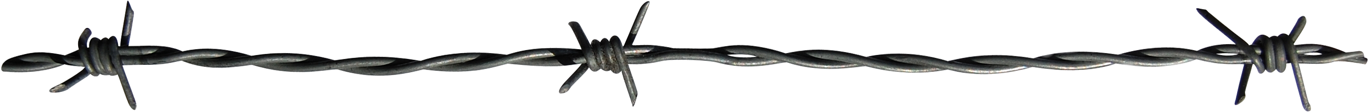 For Years, I Was Obsessed With True Crime - Barbed Wire (2850x300)