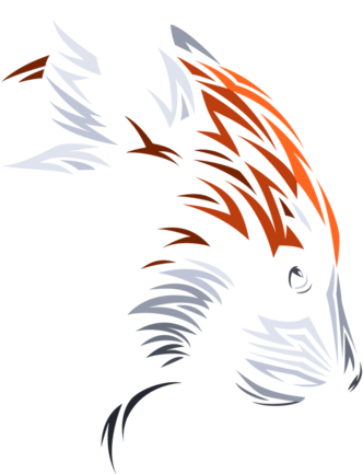 Tribal Red Panda - Red Panda (571x432)