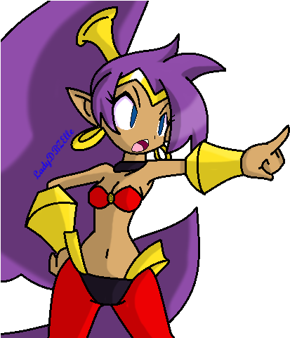 Shantae Shantae The Half Genie Hero Video Game Character - Cartoon (432x480)
