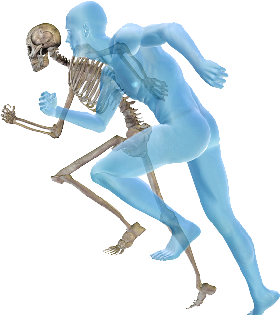 Physical Therapy Physical Medicine And Rehabilitation - Physical Therapy Physical Medicine And Rehabilitation (616x707)