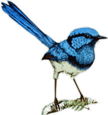 Health In Balance Physical Therapy - Mountain Bluebird (400x400)