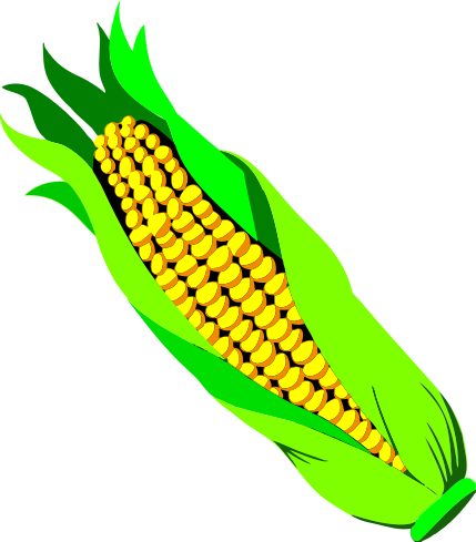 Ear Of Corn - Vegetable Clip Art (429x489)
