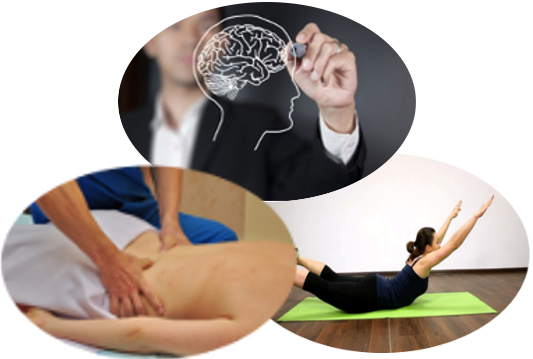 Psymagy - Com - Develop A Business Brain! By Stephen Ebanks (ebook) (533x359)