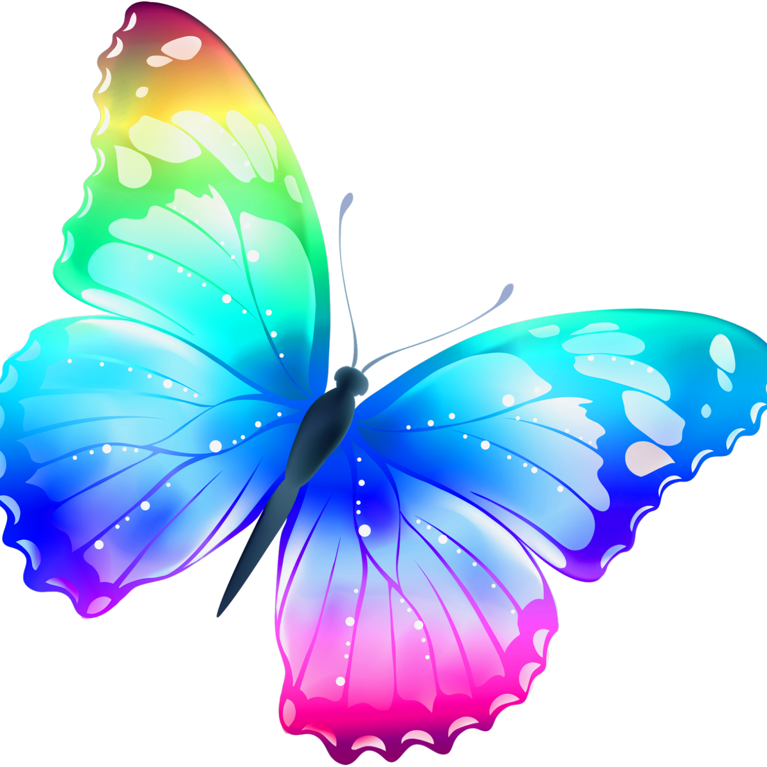 Butterfly Color Clip Art - Butterfly Color Clip Art (1500x1500)