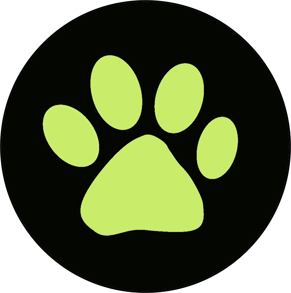 Ring - Fondos De Pantalla De Ladybug Y Chat Noir (964x968)