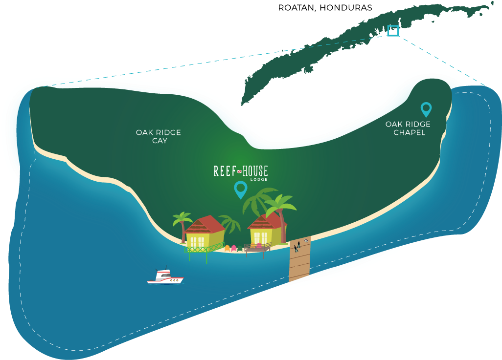 Roatan Dive Vacation - Roatán (1100x843)