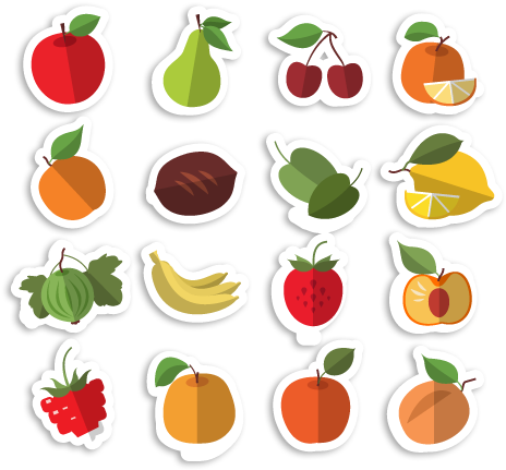 Fruits - Illustration (480x452)