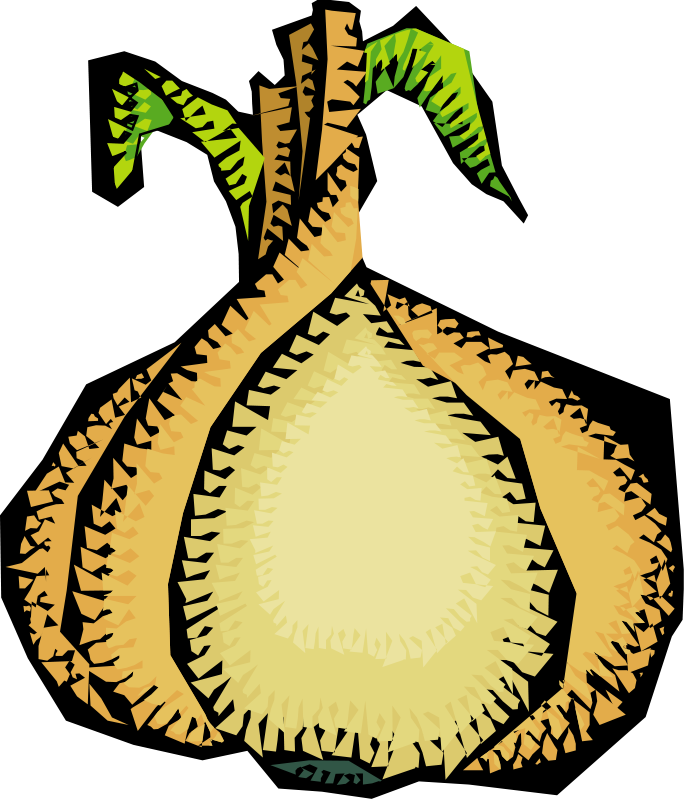 Clipart Vegetables 52 Free Vector - Onion Clip Art (685x800)