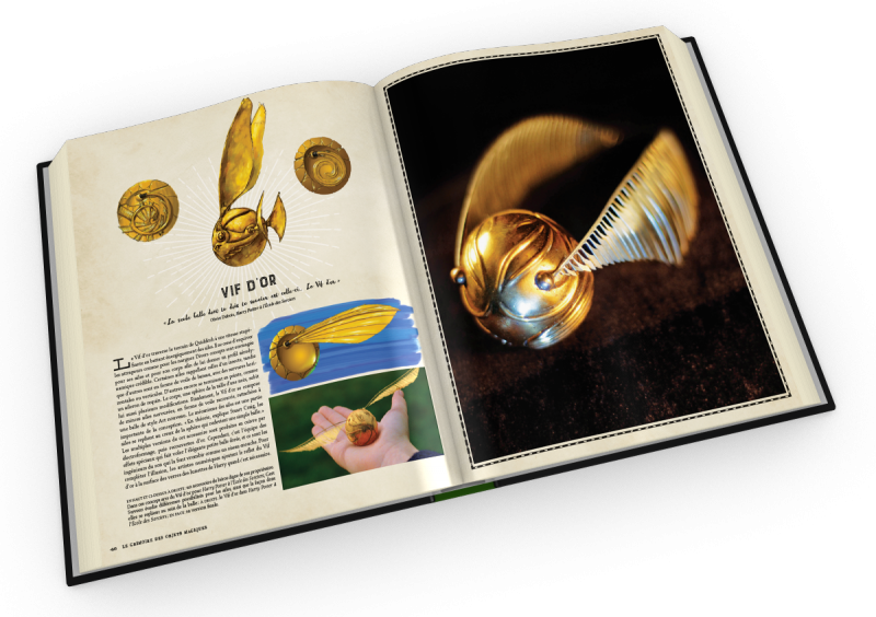 Harry - Harry Potter Le Grimoire Des Objets Magiques (800x564)