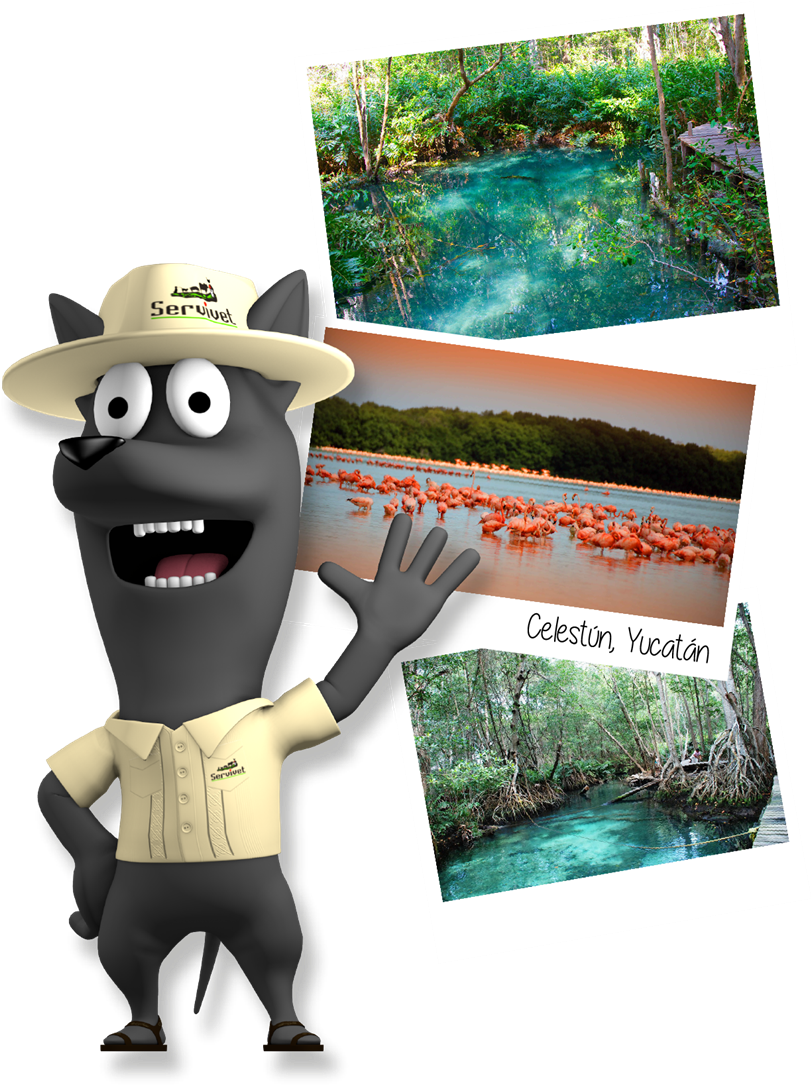 The Winner Will Be Announced On May 25, - The Winner Will Be Announced On May 25, (1000x1092)