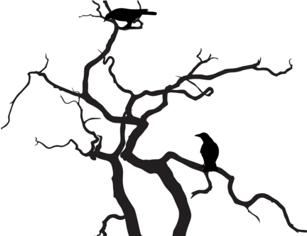 Raven Clipart Tree Silhouette - Crow Silhouette In A Tree (640x480)