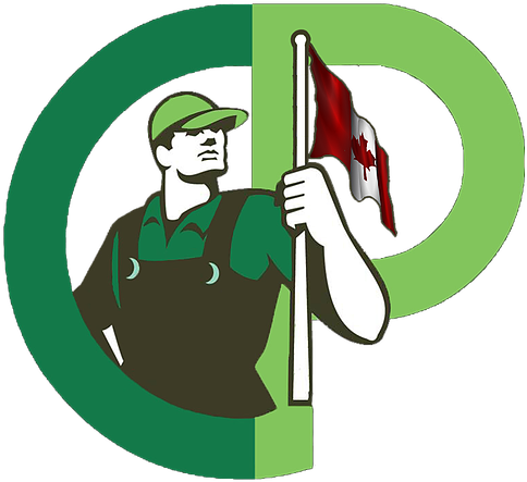 Our Mobile Detailing Units Are Available In Windsor, - Cartoon (630x630)