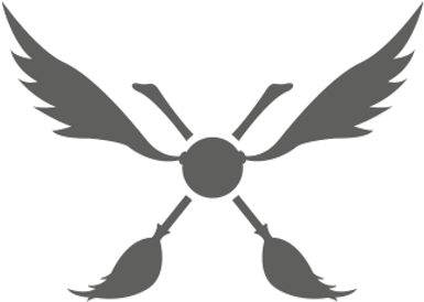 Quidditch Austria - Quidditch Black And White (400x400)