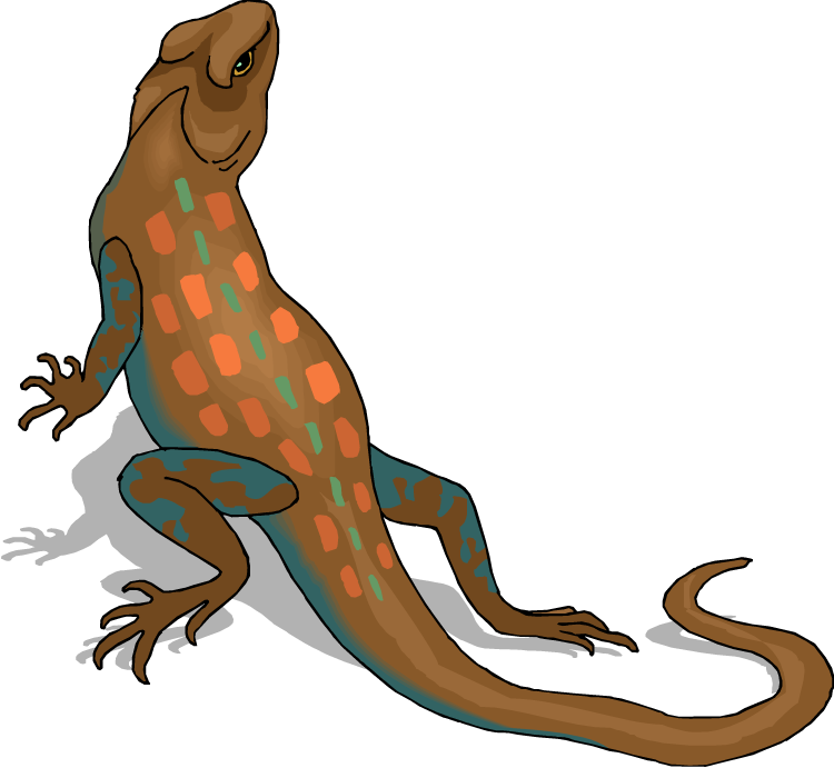 Clipart Of Lizard (750x691)