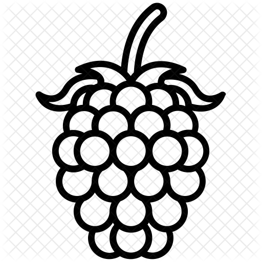 Raspberry Clipart Svg - Black Berry Fruit Sketch (512x512)