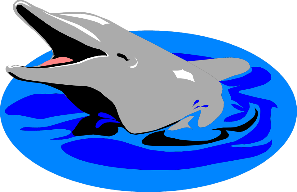 Dolphin Png Clip Art Image - Navy 5'x7'area Rug (958x619)