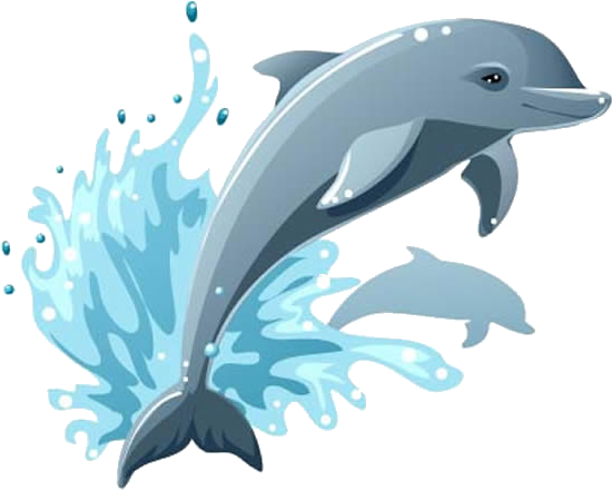 Cartoon Dolphin Drawing Clip Art - Cartoon Dolphin Drawing Clip Art (675x584)