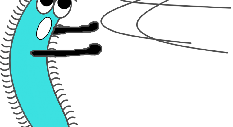 Bacteria Clipart Staph - E Coli Bacteria Clip Art (750x410)