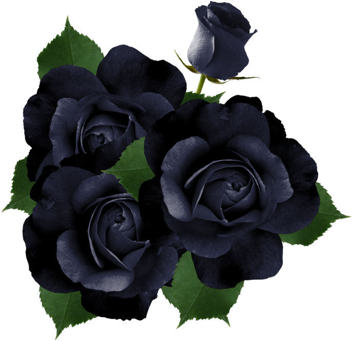 Christine Staniforth ♛༻ - Rose (700x685)