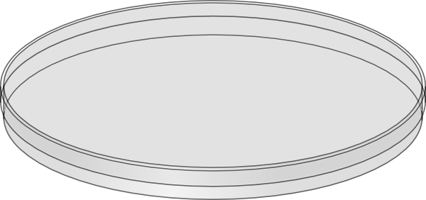 Petri Dish Clipart - Petri Dish No Background (600x282)