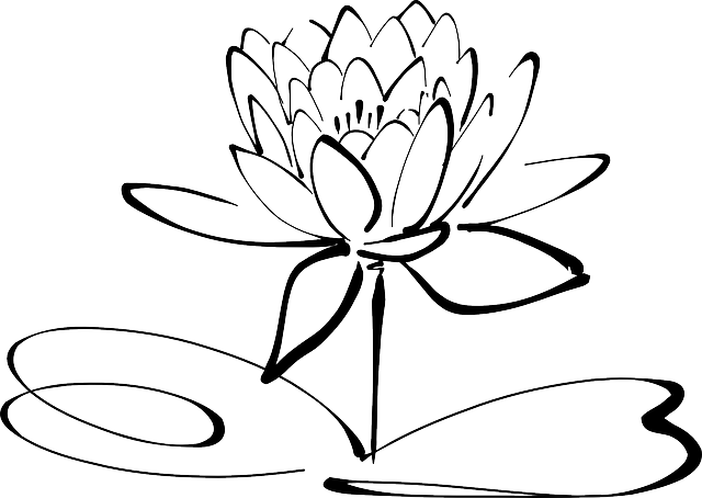 Calligraphy Lotus, Flower, Line Art, Calligraphy - Lotus Black And White (640x454)