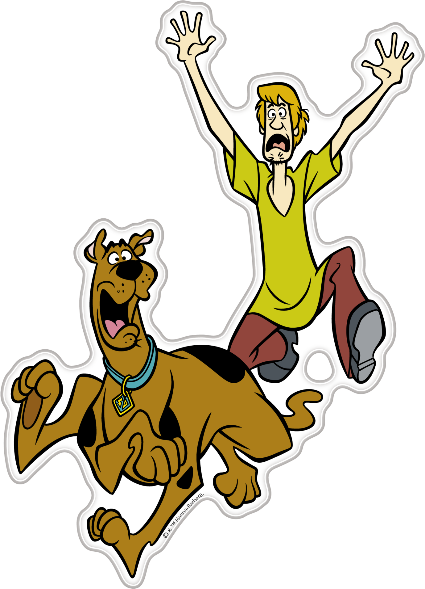 Shaggy Rogers Scooby-doo Cartoon - Shaggy Rogers Scooby-doo Cartoon (1733x2048)