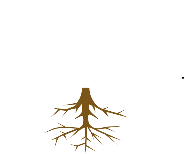Stuck Tree Root Clip Art - Roots (600x501)