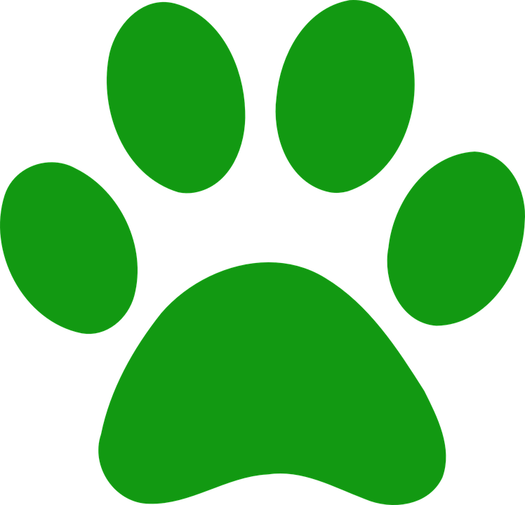 Green Cloud Clipart - Dark Green Paw Print (640x616)