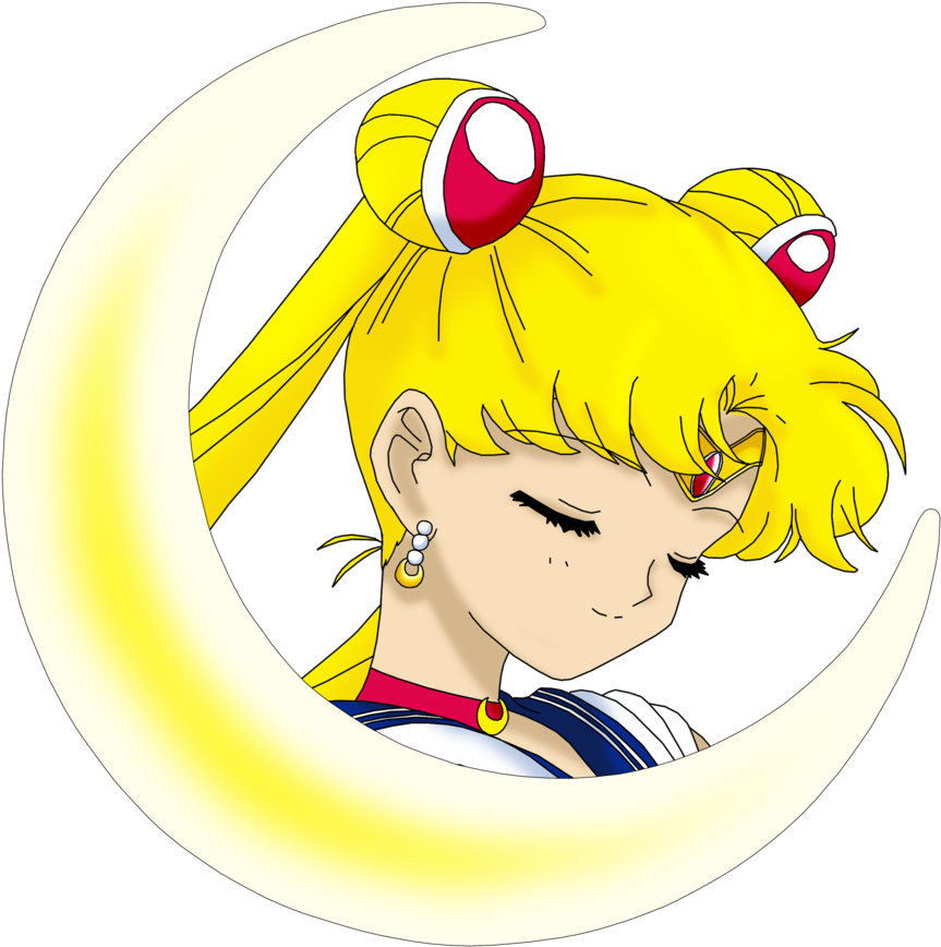 Sailor Moon Cresent Head By Anthro7 - Sailor Moon Head Png (900x894)