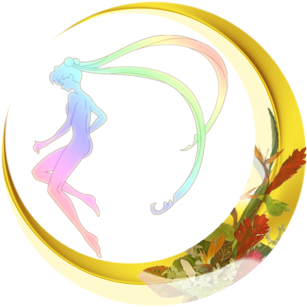 Sailor Moon - Sailor Moon Icons Png (512x512)