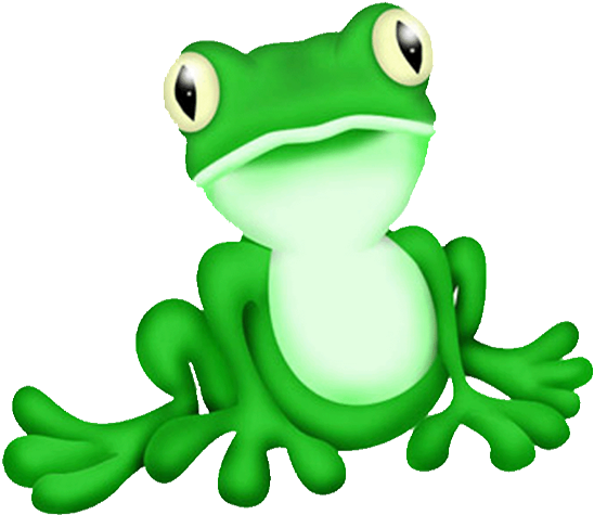Animal Frog - Frog Web (600x512)
