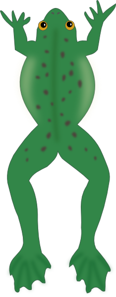 Frog Jumping Top View (234x595)