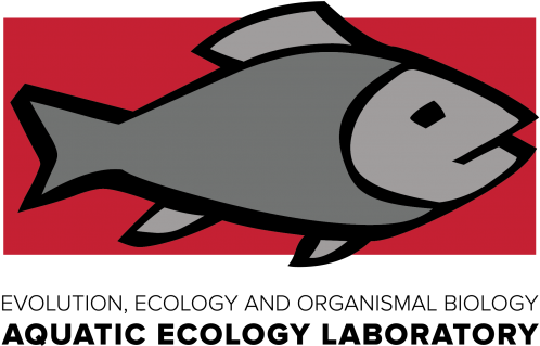 Ael Artwork No Logo - No Logo: Taking Aim At The Brand Bullies (620x366)
