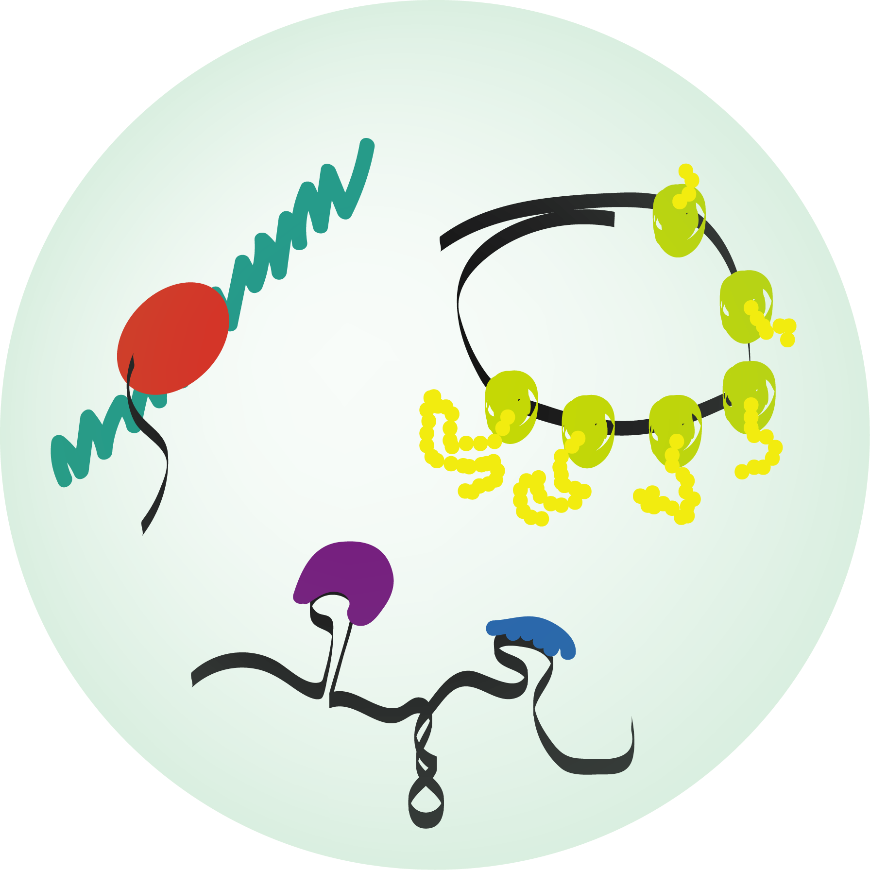 The Jagannathan Laboratory Will Be A Part Of The Rna - Illustration (1791x1791)