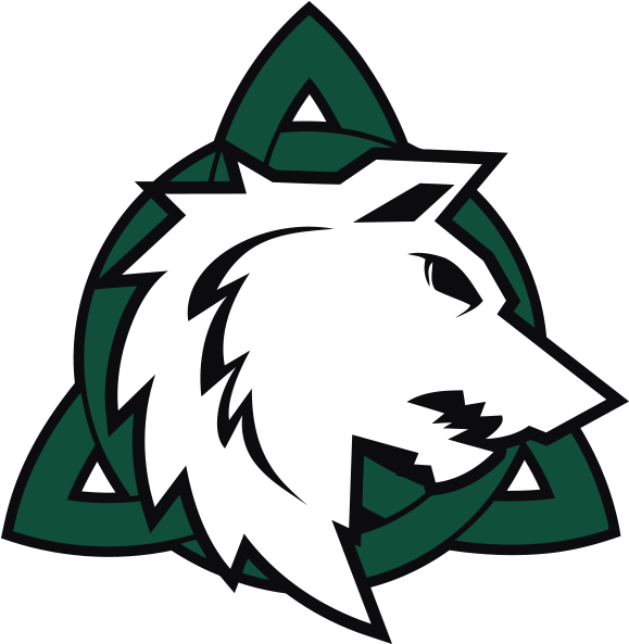 2017 Logo Celtics Dolomiti - 2017 Logo Celtics Dolomiti (800x800)