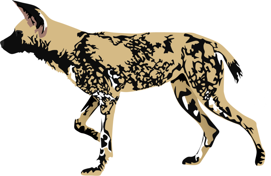 African Wild Dog Clipart - African Wild Dog Pattern (900x586)