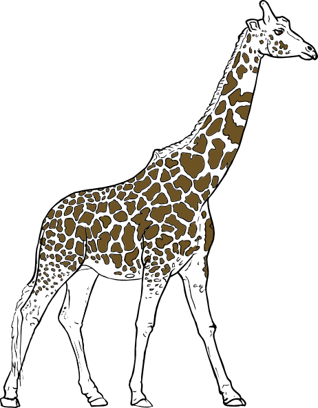 Giraff Animal Outline Clip Art - Outlined Pictures Of Animals (462x592)