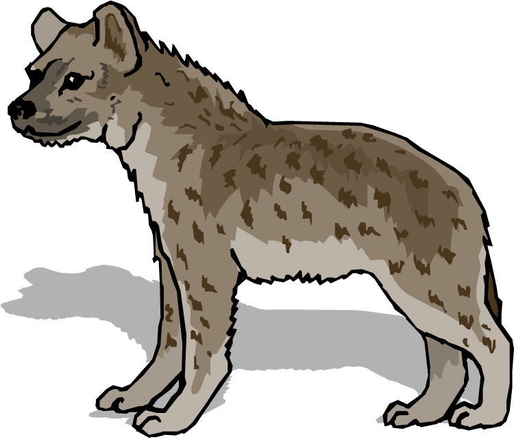 Hyena Clipart - Hyena Clipart (750x640)