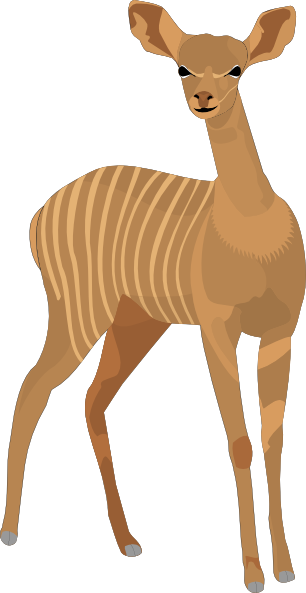 Cute Deer Clipart Free Clipart Images Image - Long Neck Animal (306x593)
