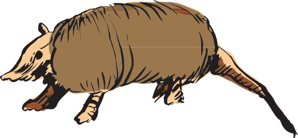 Armadillo Clipart - Animals Clipart (600x279)