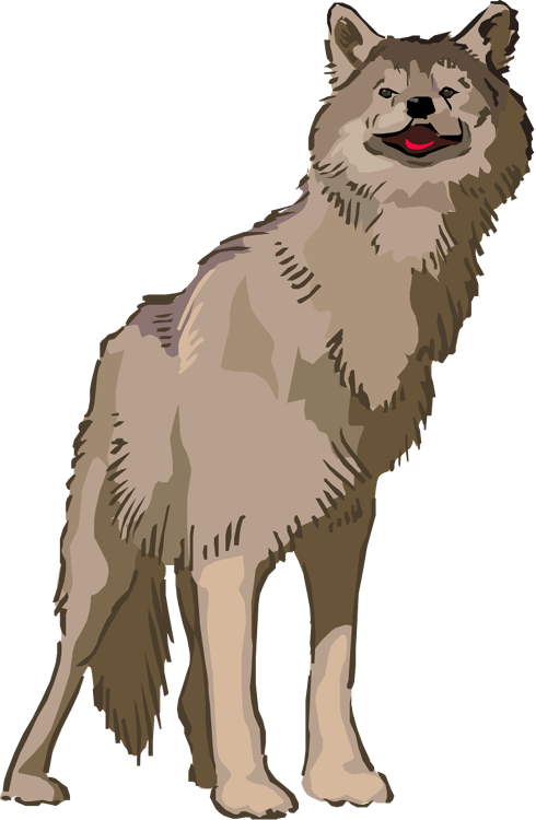 Animated Wolf Clipart - Animated Wolf Png (490x750)