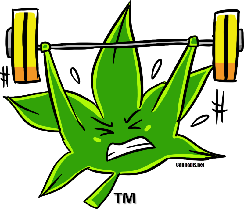Pin Gym Workout Clipart - Fitness Weed (1101x948)