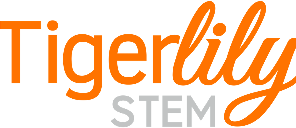 Tigerlily Stem Specializes In Empowering Young Women - Red Ocean Friends Are The Family We Choose Wooden Hanging (1000x667)